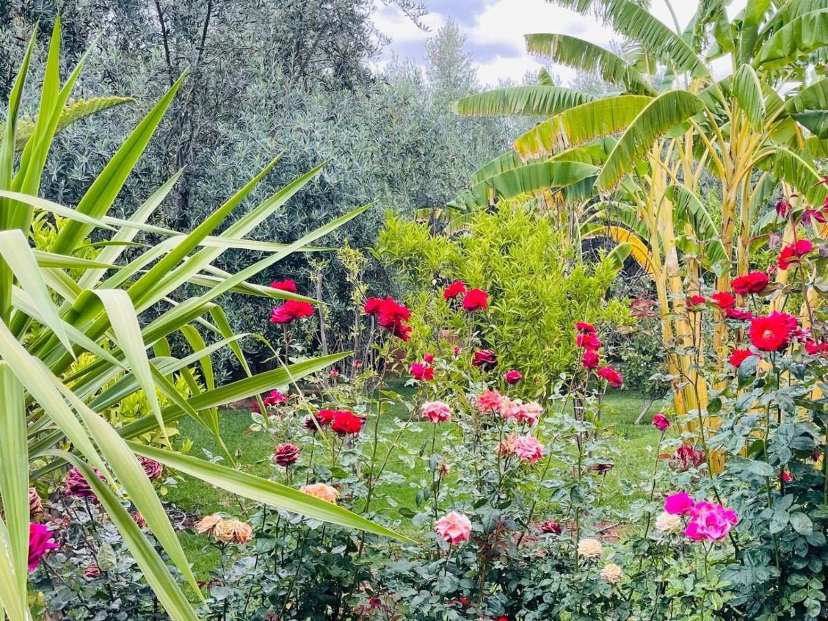 מרקש Ilafe Farmhouse, Villa Avec Piscine Chauffee Privee Et Jacuzzi Pour Familles מראה חיצוני תמונה