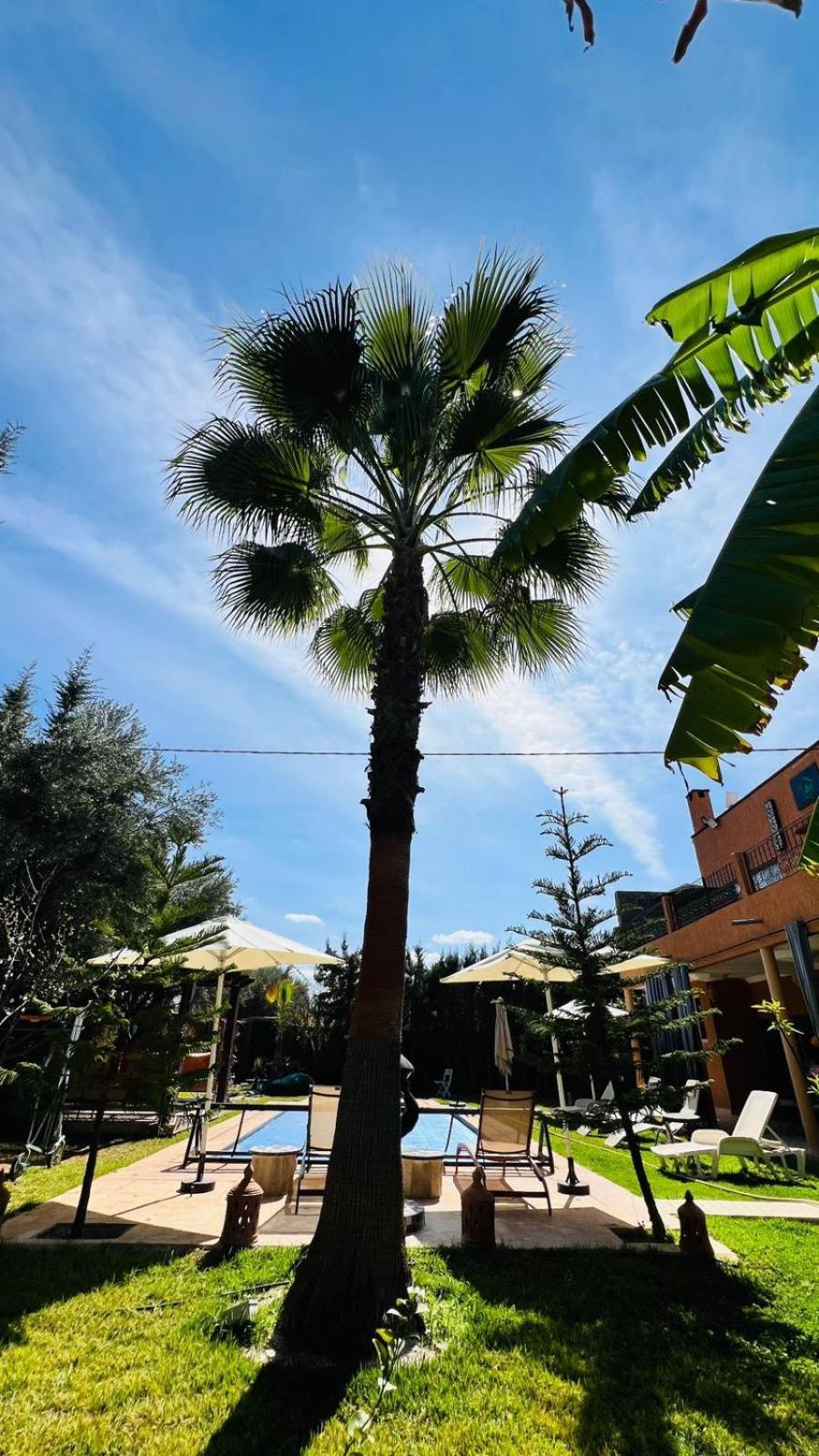 מרקש Ilafe Farmhouse, Villa Avec Piscine Chauffee Privee Et Jacuzzi Pour Familles מראה חיצוני תמונה