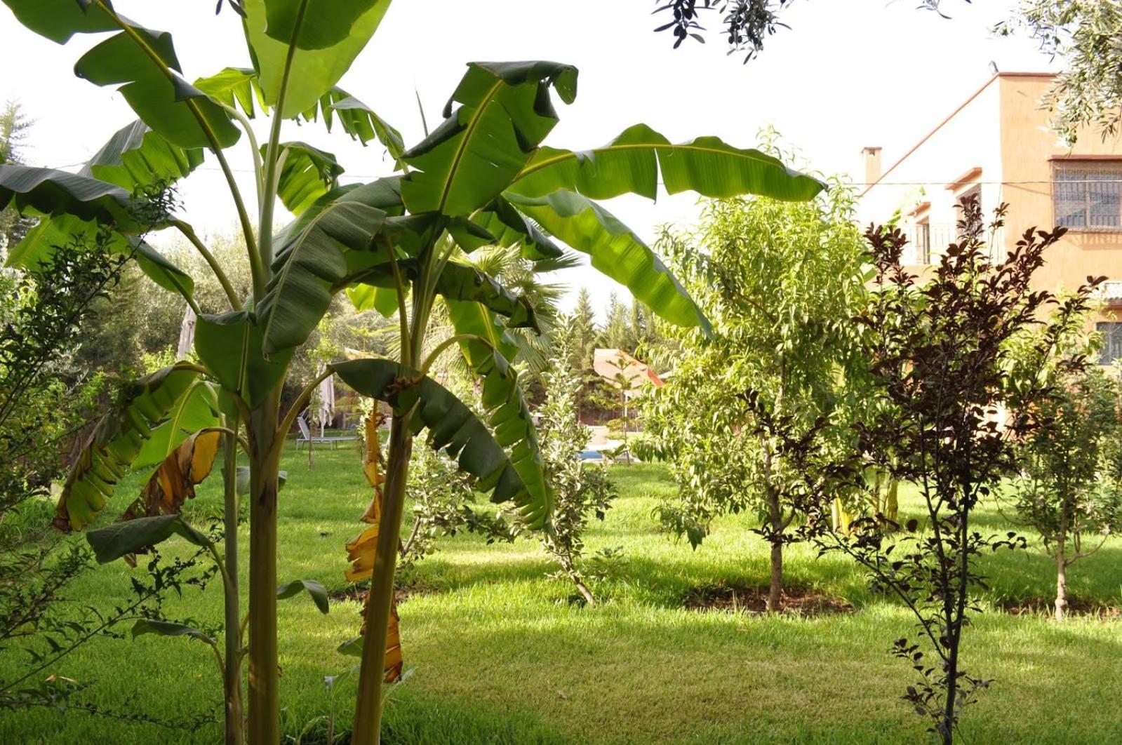 מרקש Ilafe Farmhouse, Villa Avec Piscine Chauffee Privee Et Jacuzzi Pour Familles מראה חיצוני תמונה